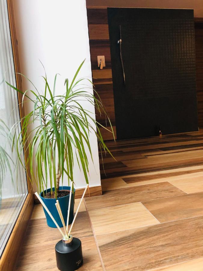 Appartement Mala Czantoria à Ustron Extérieur photo